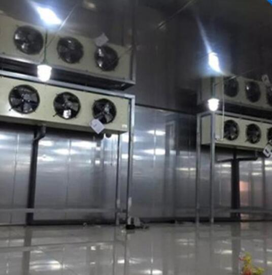 工業(yè)冷庫(kù)